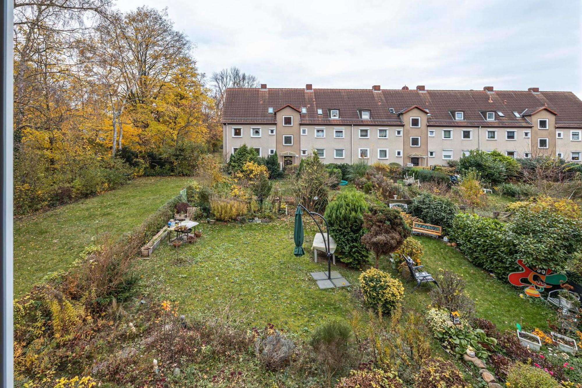 Ogli * Hannover